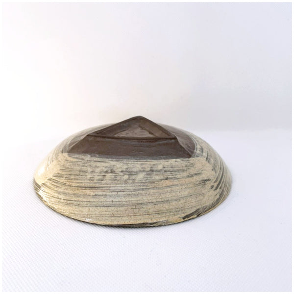 hasami porcelain Australia