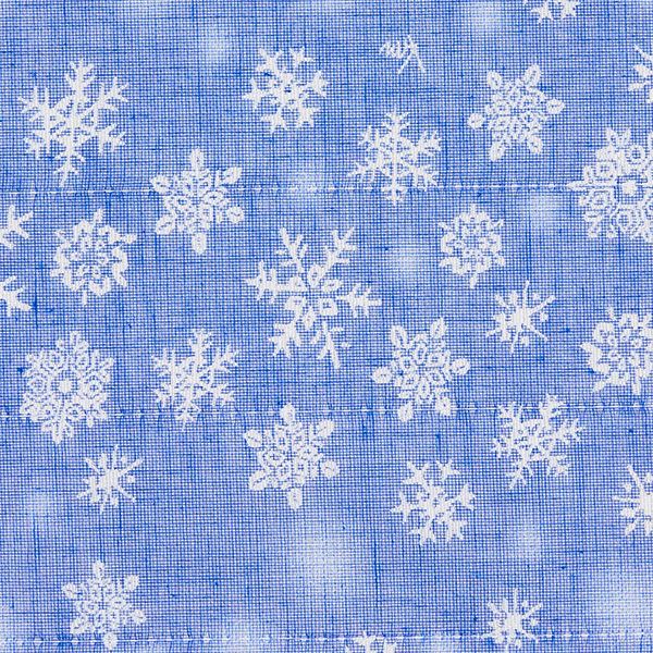 Kitchen Cloth -  Queen of Snow
